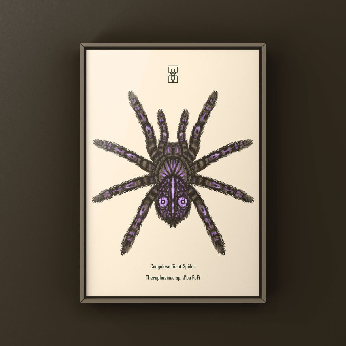 Congolese Giant Spider Art Print (Theraphosinae sp. J'ba FoFi) from The Silk Ranch