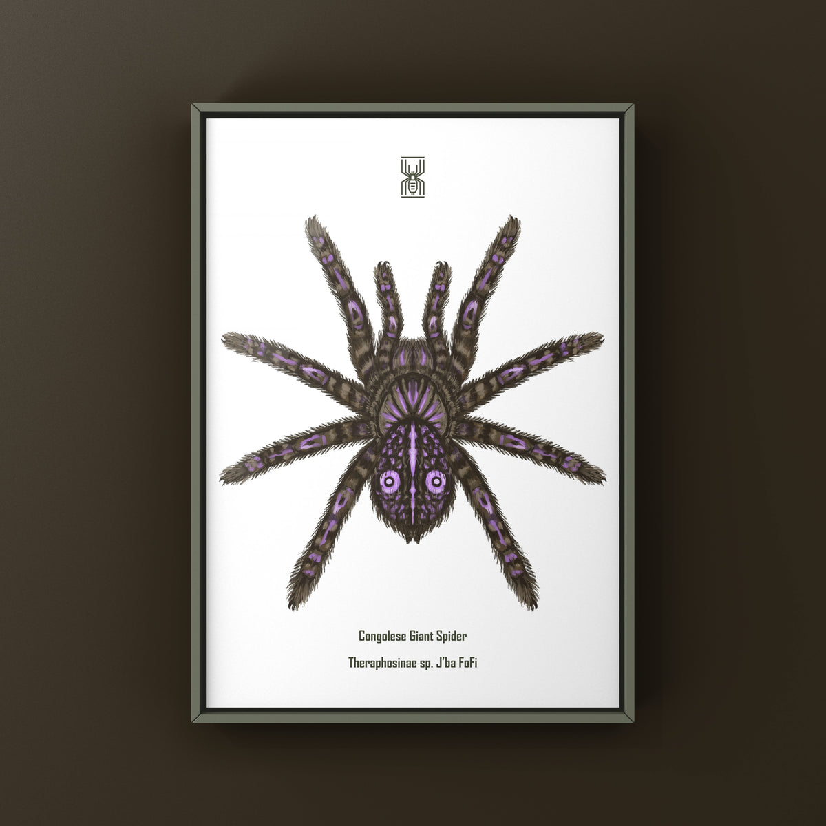 Congolese Giant Spider Art Print (Theraphosinae sp. J'ba FoFi) from The Silk Ranch