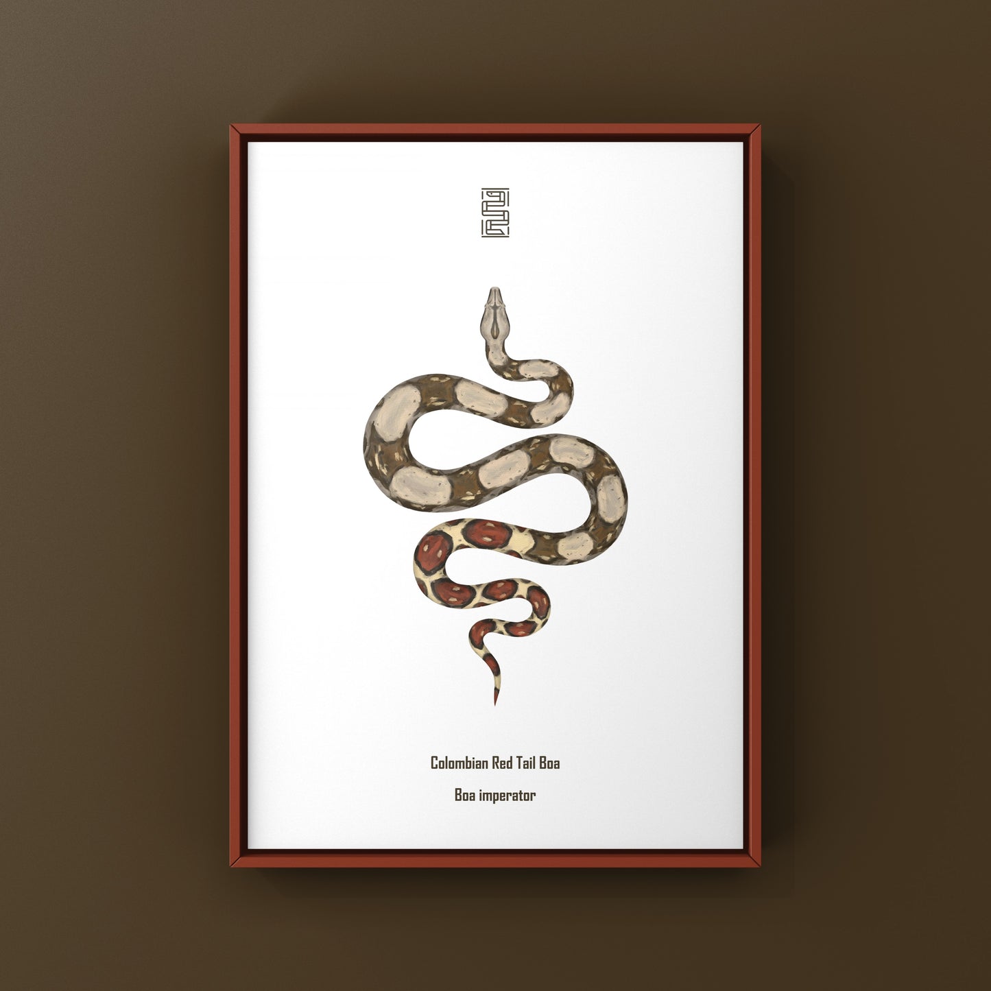 Colombian Red Tail Boa Art Print
