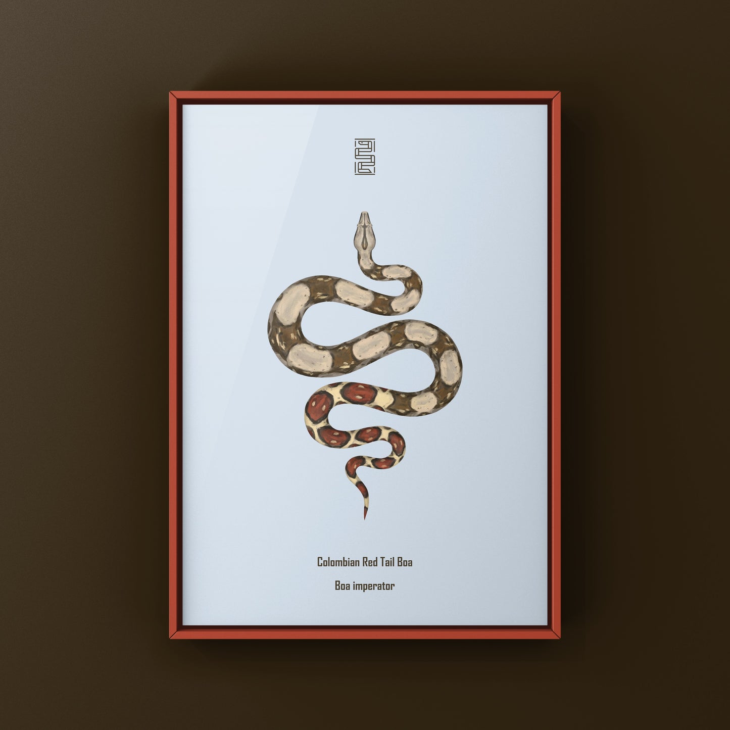 Colombian Red Tail Boa Art Print