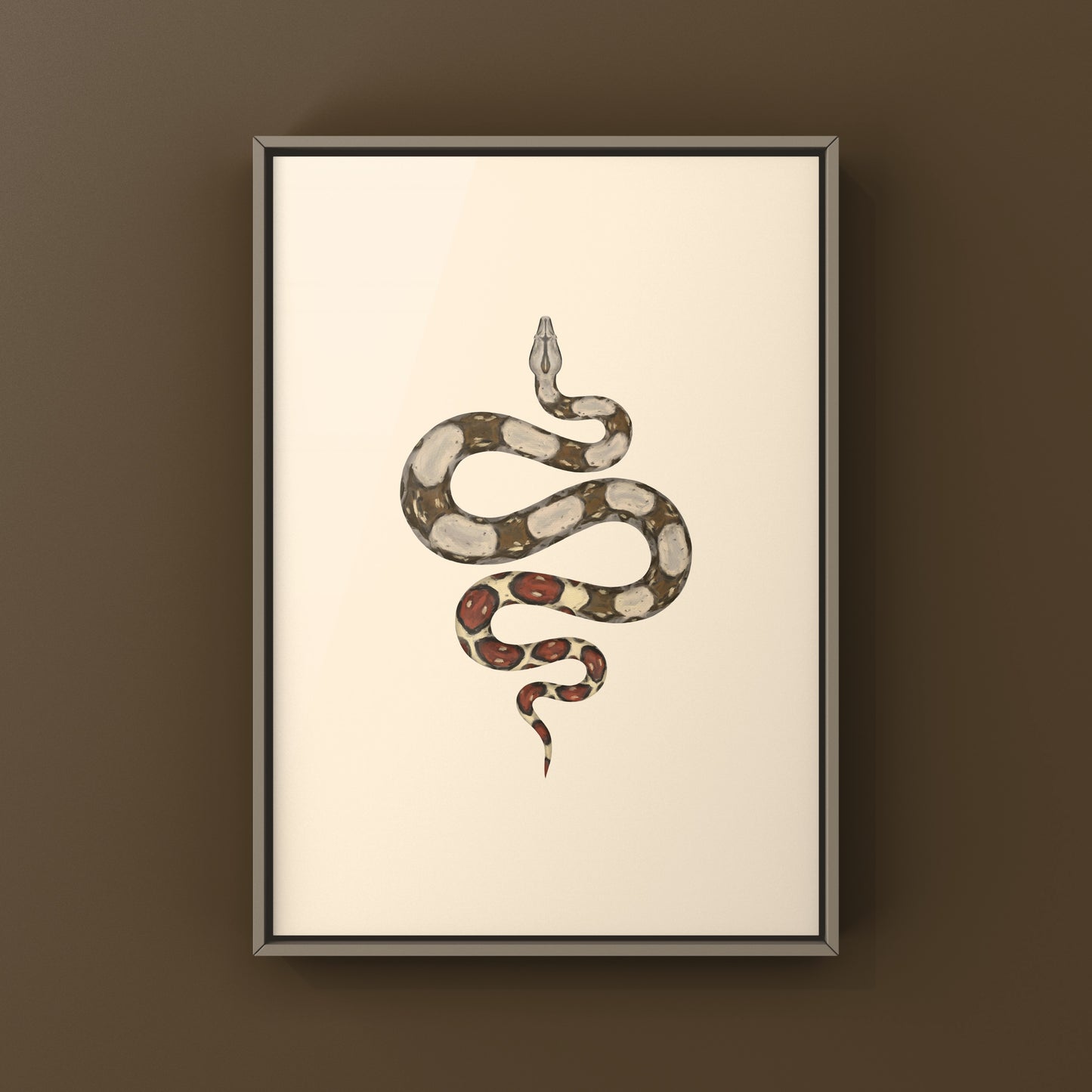 Colombian Red Tail Boa Art Print