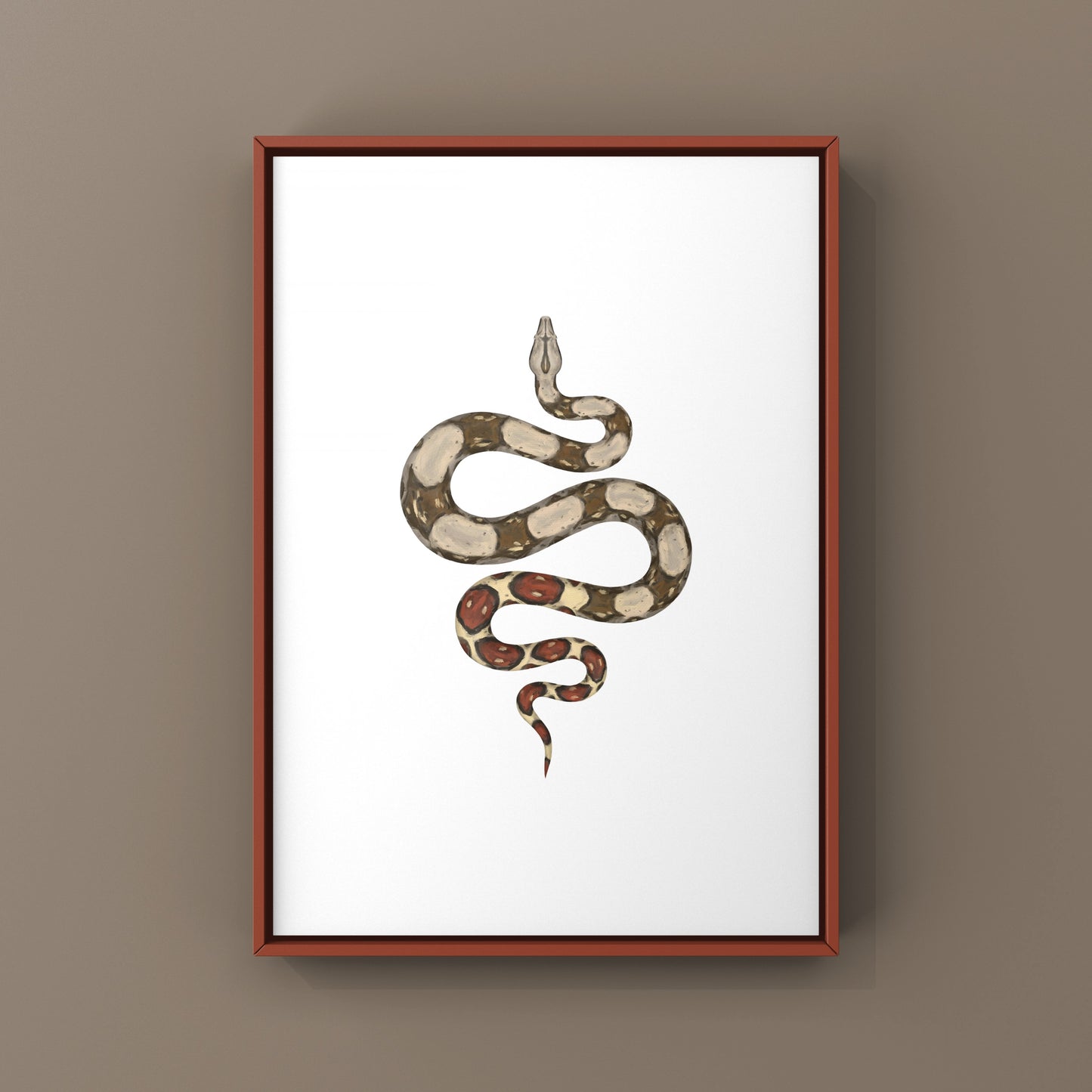 Colombian Red Tail Boa Art Print