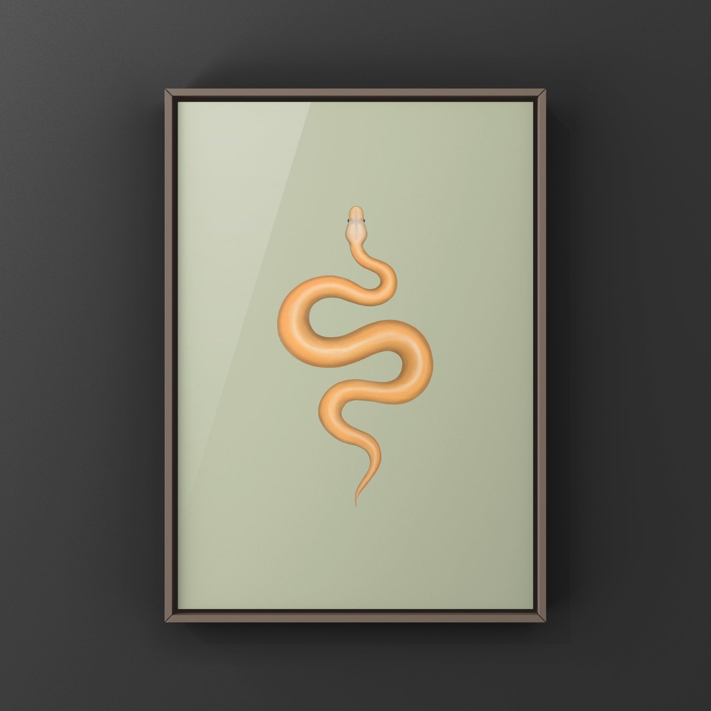 Banana Cinnamon G-Stripe Ball Python Art Print