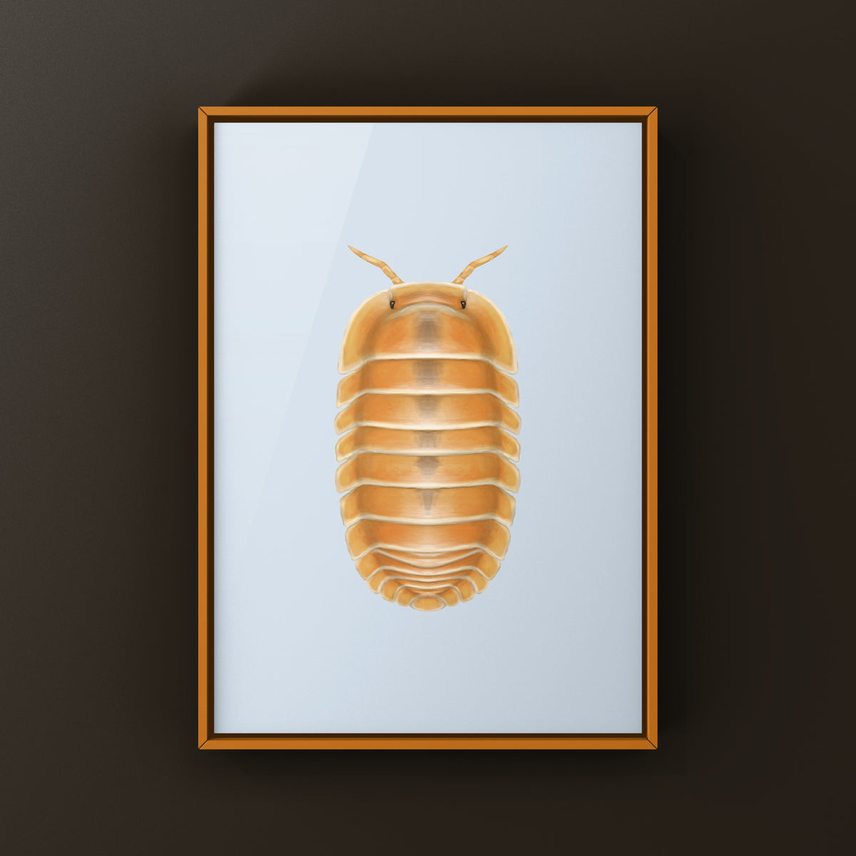 Crabby Isopod Art Print featuring a detailed illustration of Cubaris sp. Crabby by The Silk Ranch.