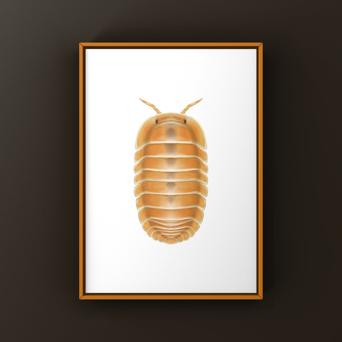 Crabby Isopod Art Print featuring a detailed illustration of Cubaris sp. Crabby by The Silk Ranch, showcasing vibrant colors and intricate design.