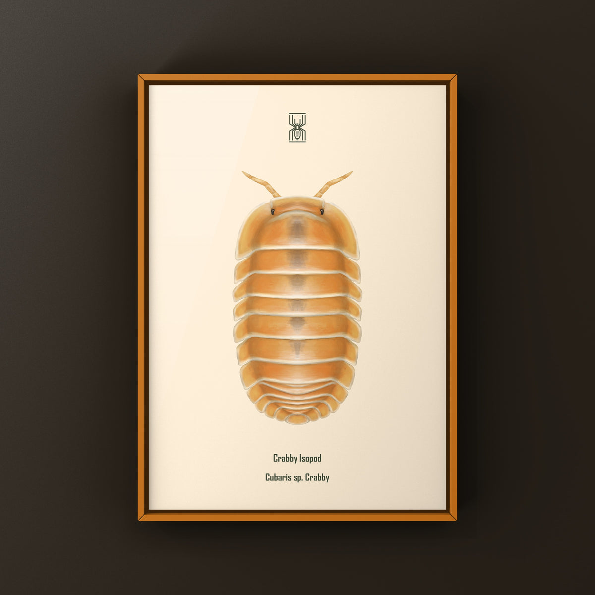 Crabby Isopod art print featuring a Cubaris sp. Crabby isopod on a neutral background, created by The Silk Ranch.