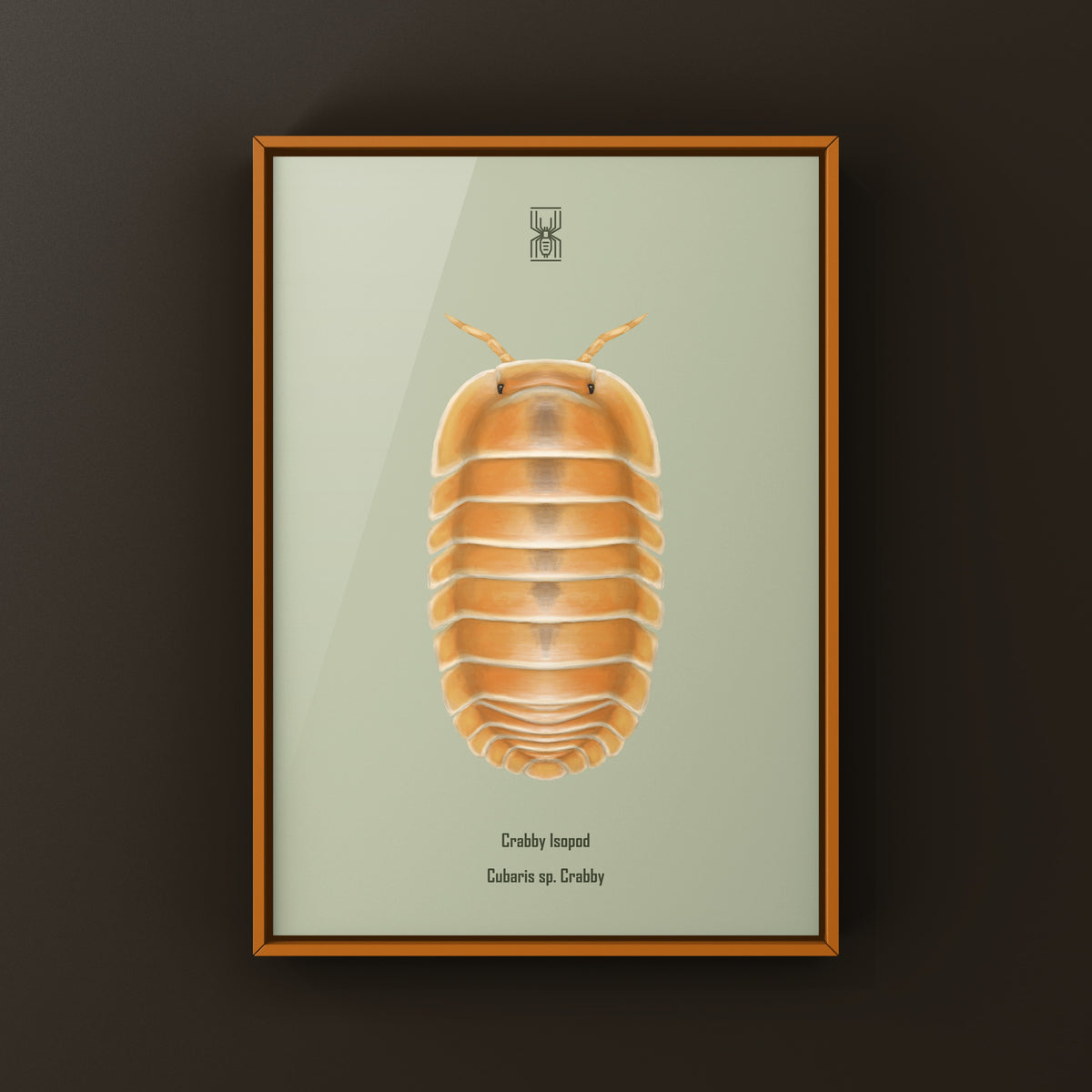 Colorful Crabby Isopod art print featuring a Cubaris sp. Crabby depicted in detailed, vibrant nature-inspired artwork.