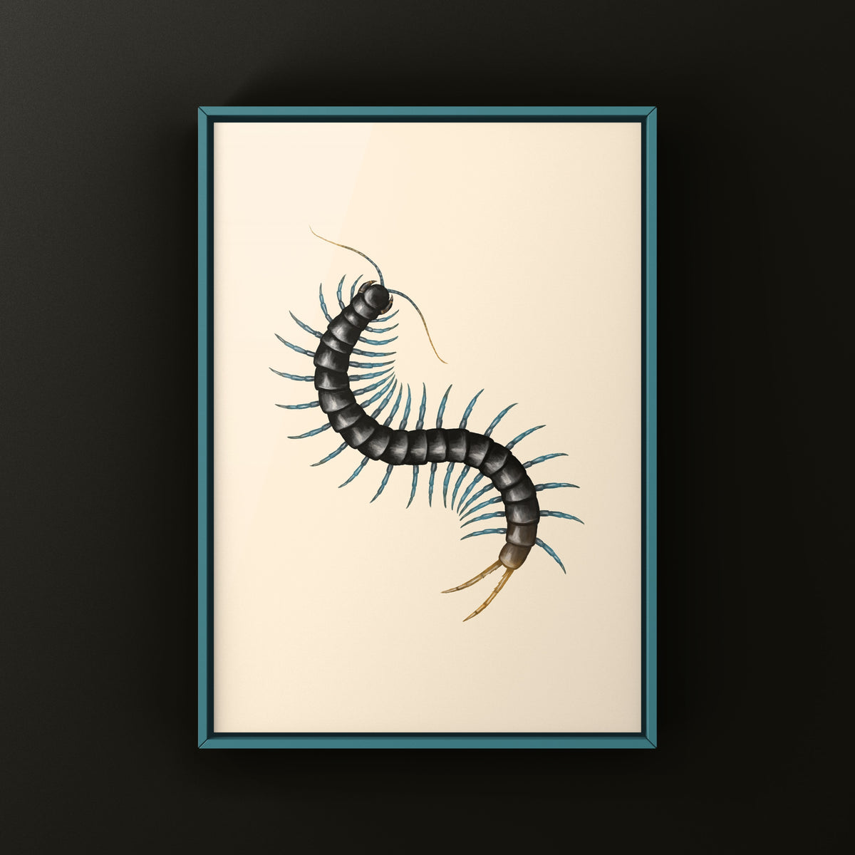 African Giant Centipede Art Print (Ethmostigmus trigonopodus) from The Silk Ranch