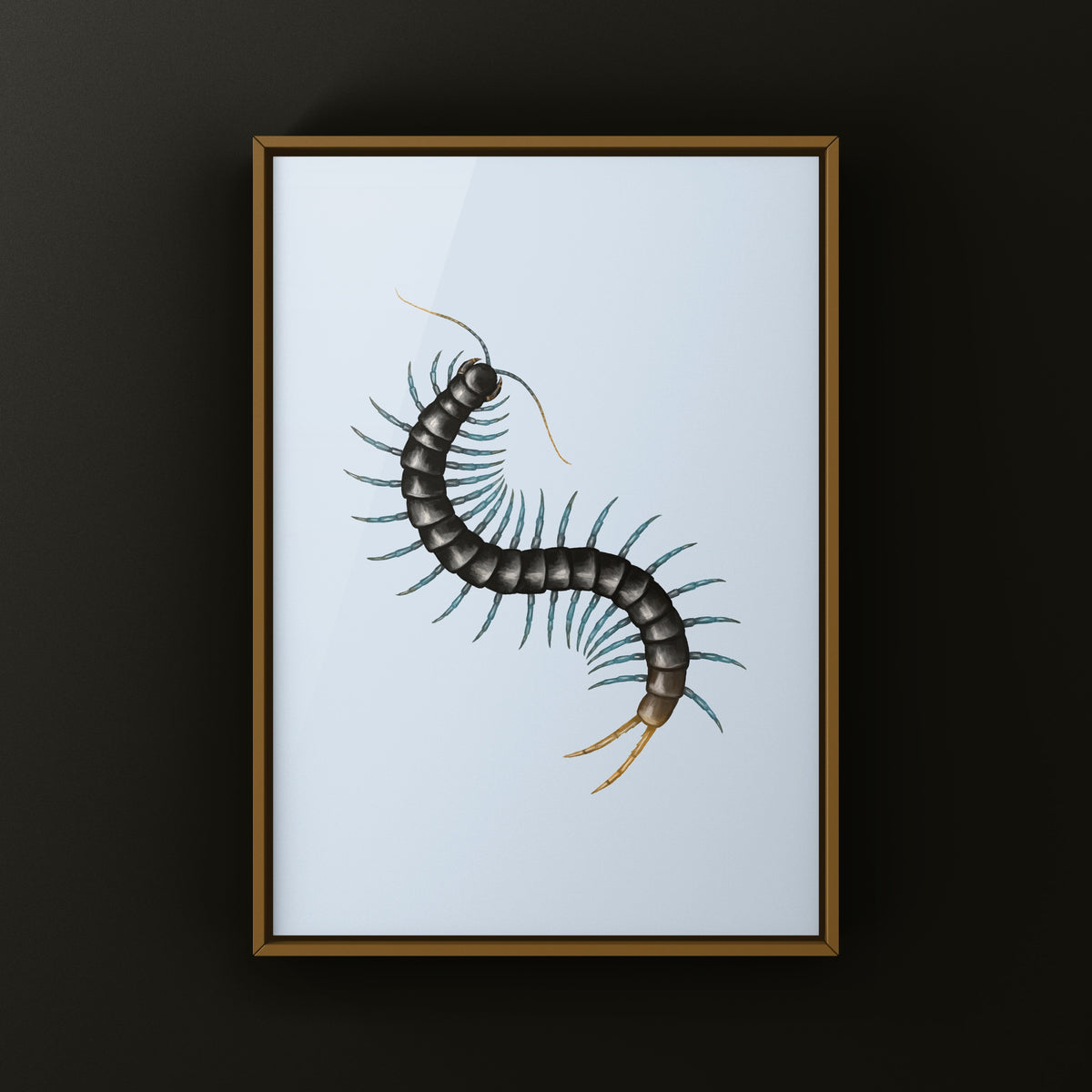 African Giant Centipede Art Print (Ethmostigmus trigonopodus) from The Silk Ranch