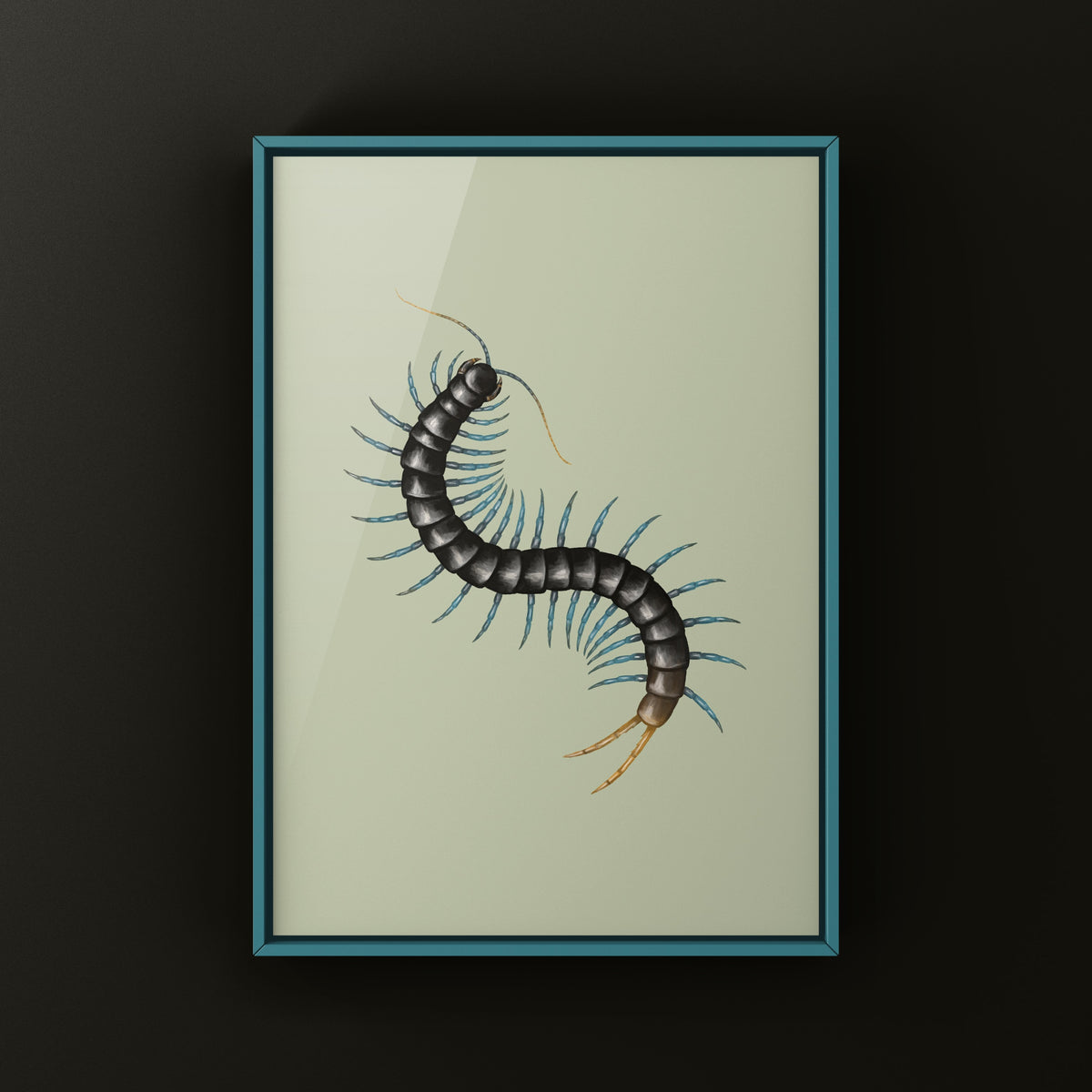 African Giant Centipede Art Print (Ethmostigmus trigonopodus) from The Silk Ranch