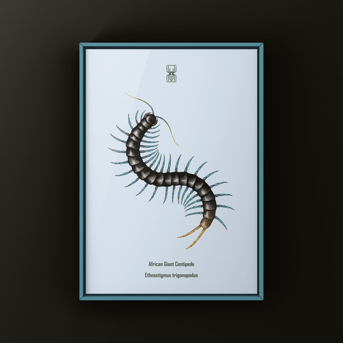 African Giant Centipede Art Print (Ethmostigmus trigonopodus) from The Silk Ranch