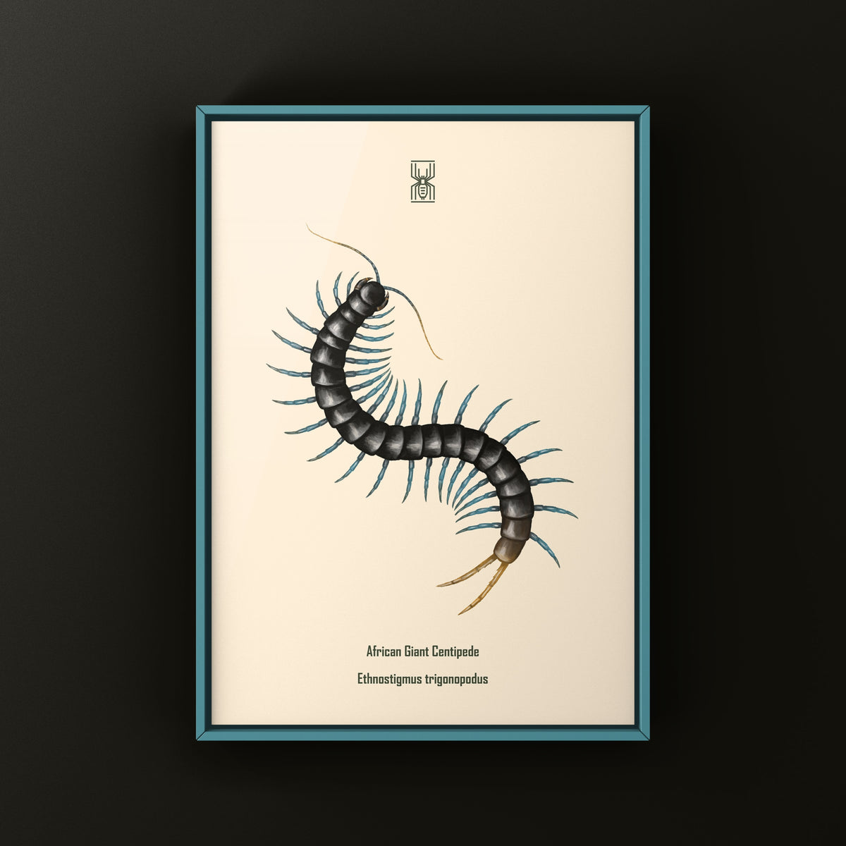 African Giant Centipede Art Print (Ethmostigmus trigonopodus) from The Silk Ranch