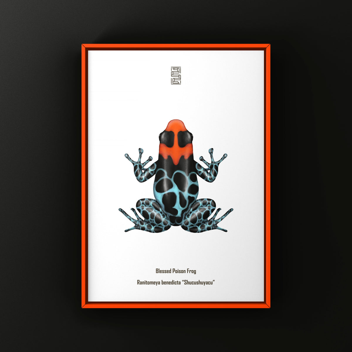 Shucushuyacu Blessed Poison Frog Art Print (Ranitomeya benedicta)