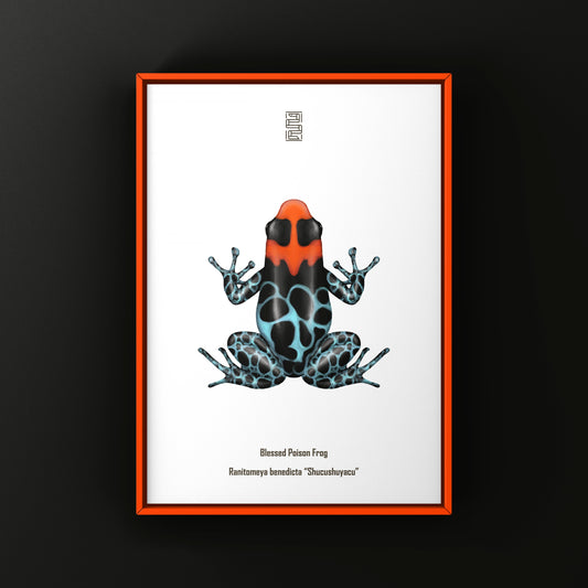 Shucushuyacu Blessed Poison Frog Art Print (Ranitomeya benedicta)