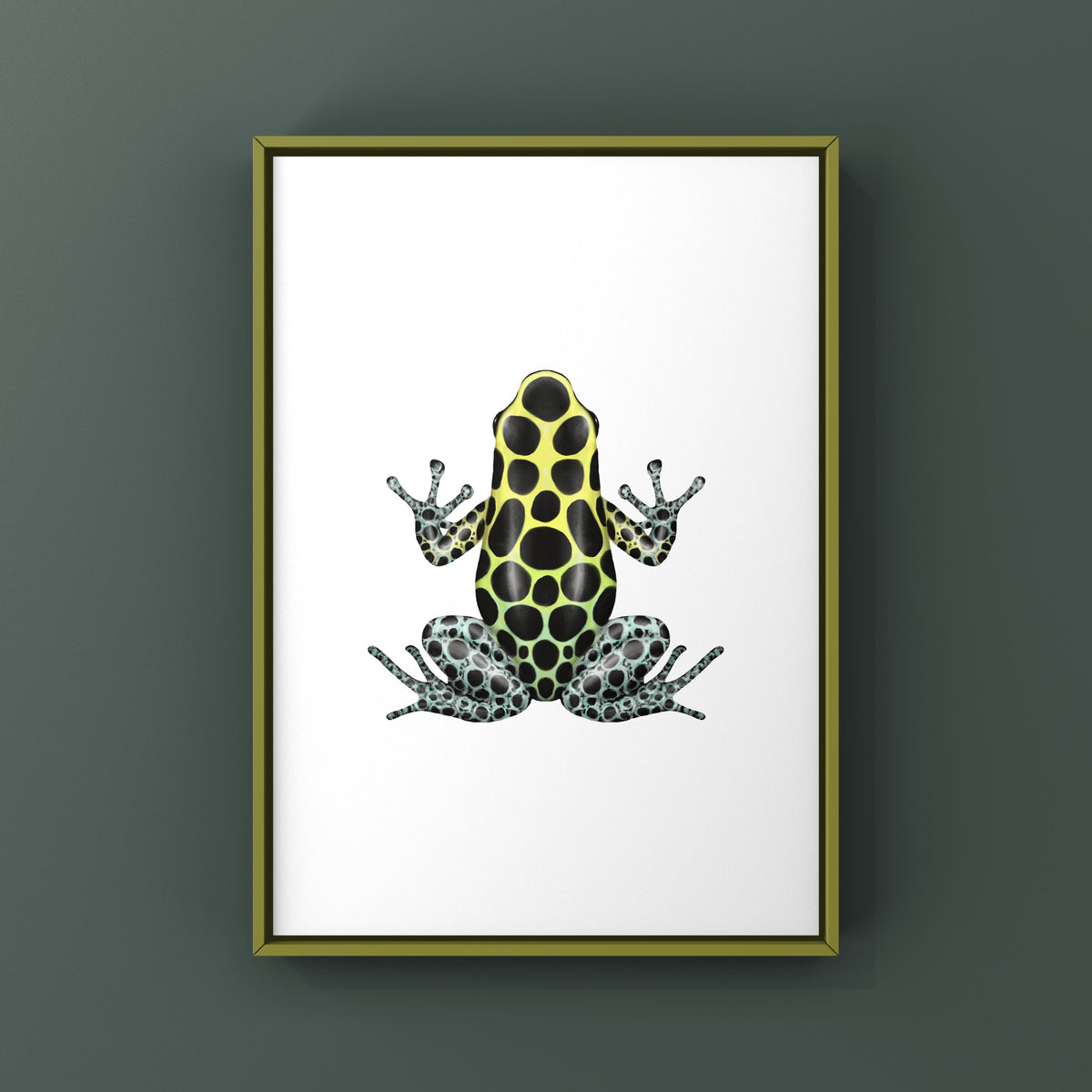 Highland Variable Poison Frog Art Print (Ranitomeya variabilis)
