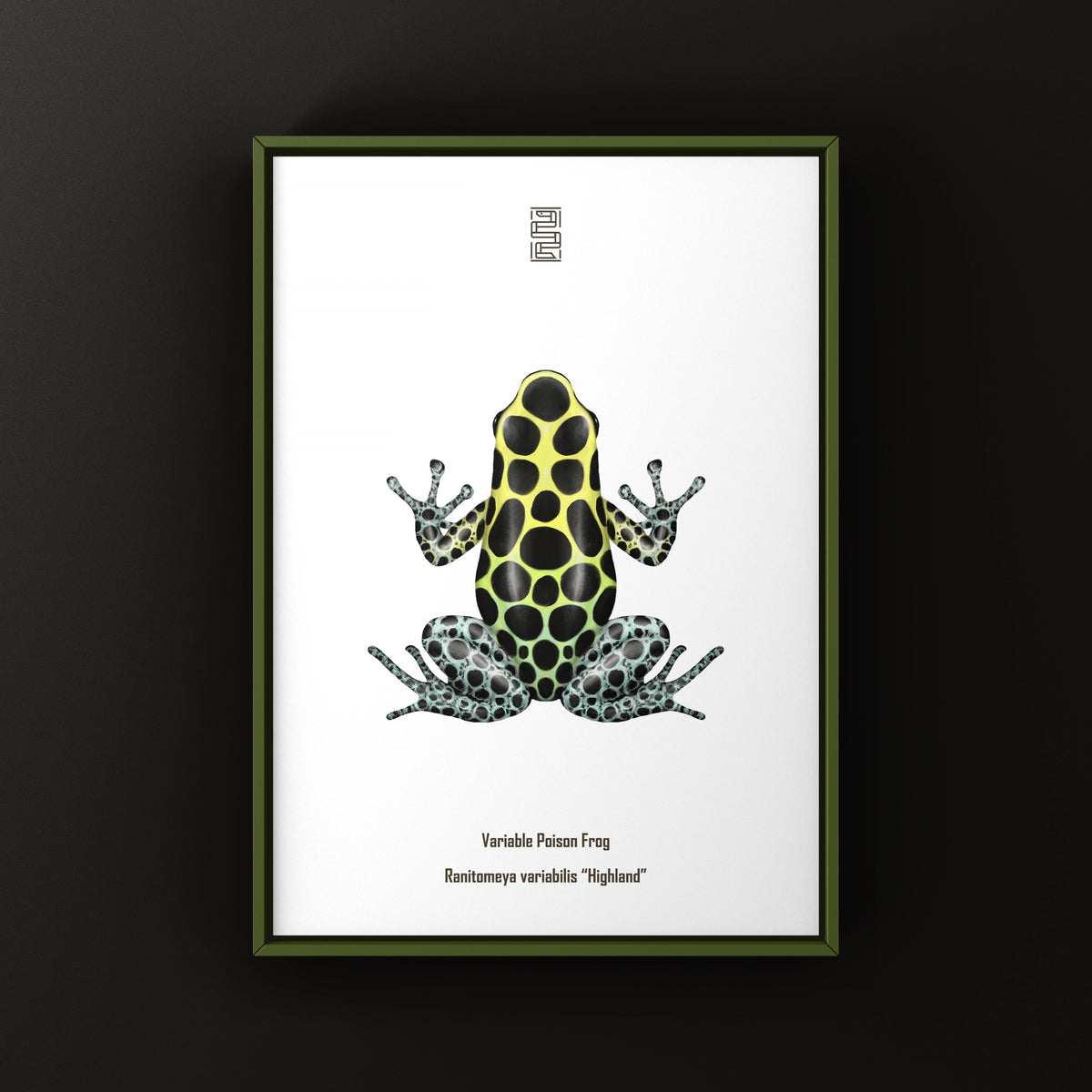 Highland Variable Poison Frog Art Print (Ranitomeya variabilis)