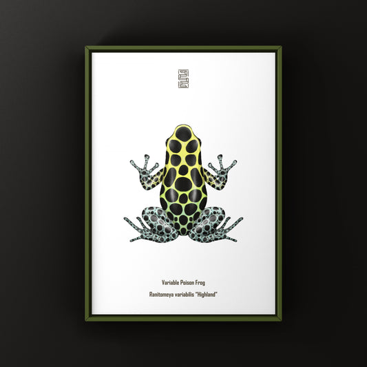 Highland Variable Poison Frog Art Print (Ranitomeya variabilis)