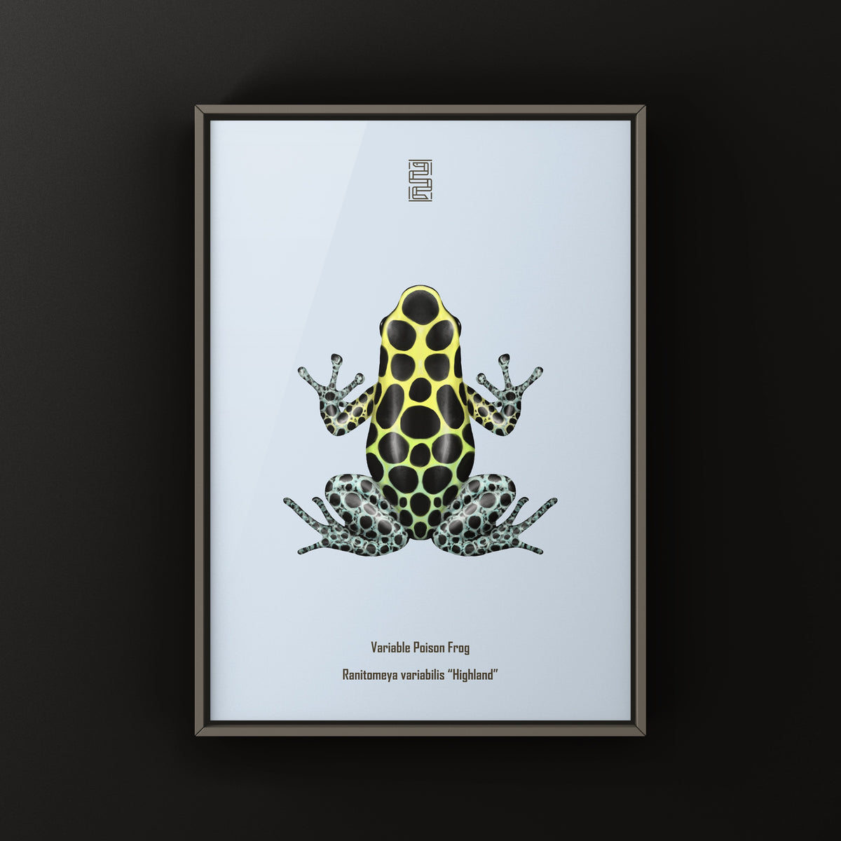 Highland Variable Poison Frog Art Print (Ranitomeya variabilis)