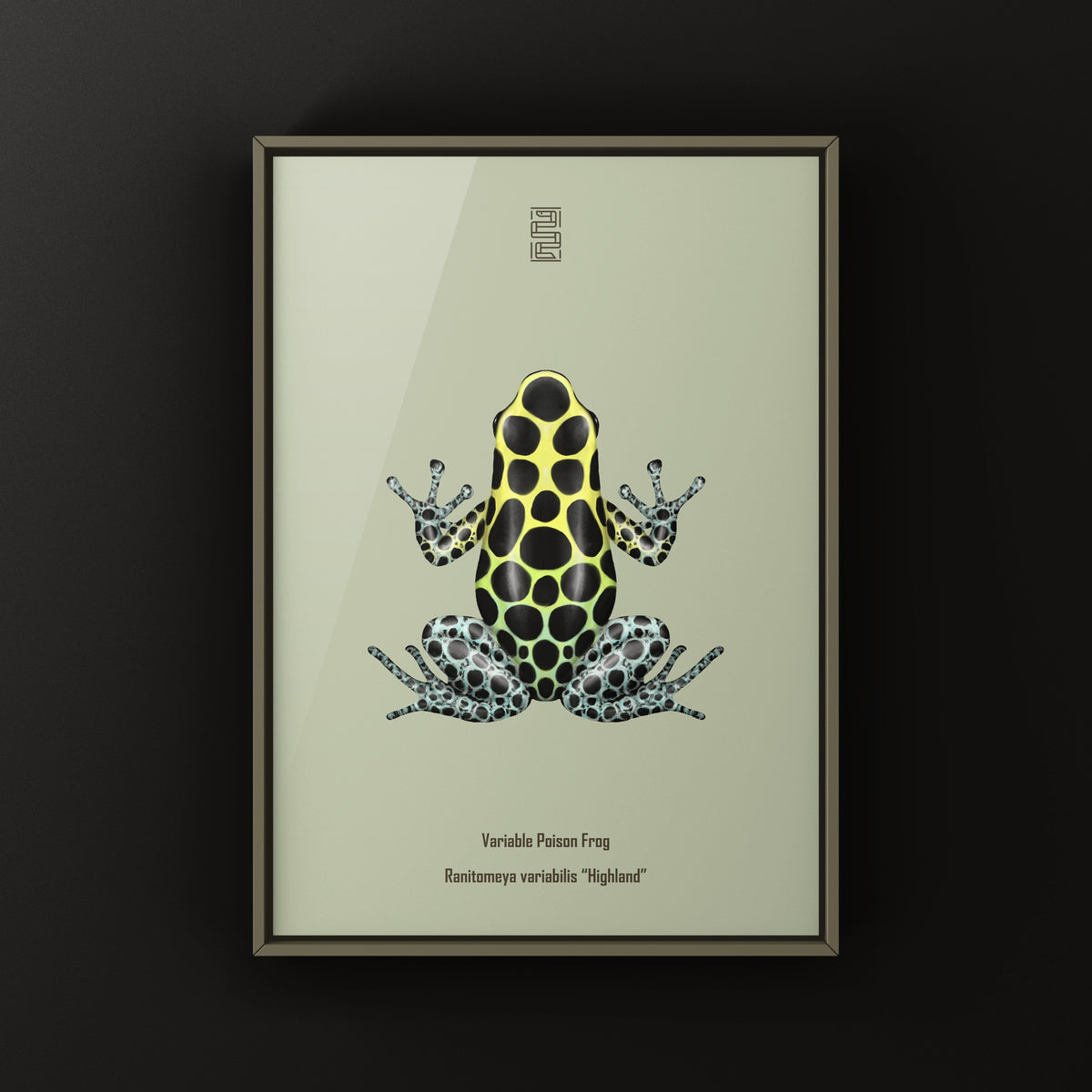 Highland Variable Poison Frog Art Print (Ranitomeya variabilis)