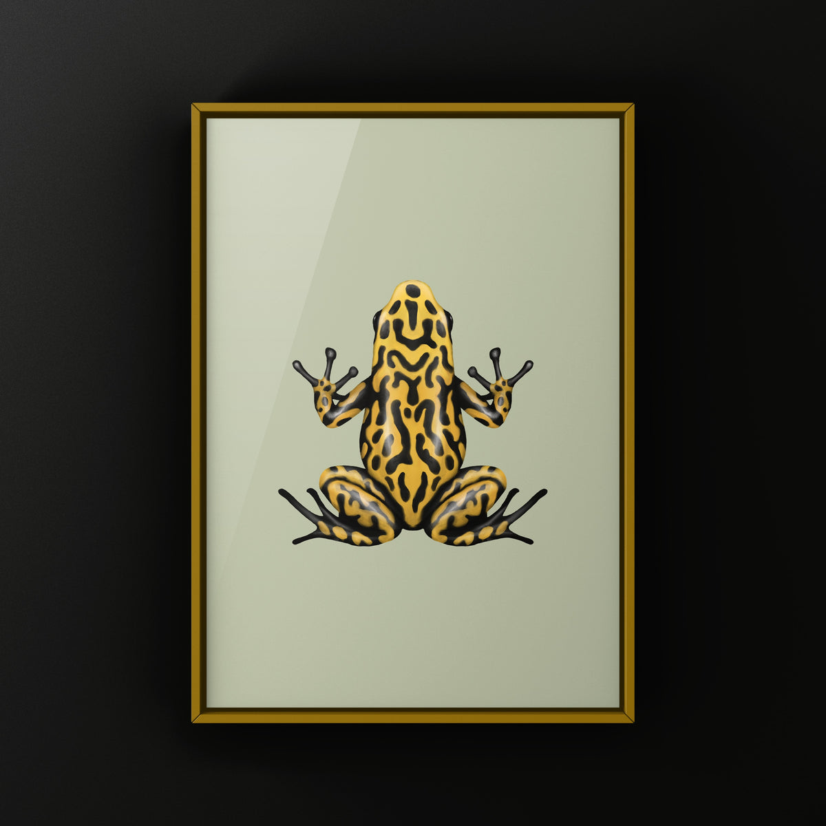 Yellow and Black Netted Splashback Poison Frog Art Print (Adelphobates galactonotus)