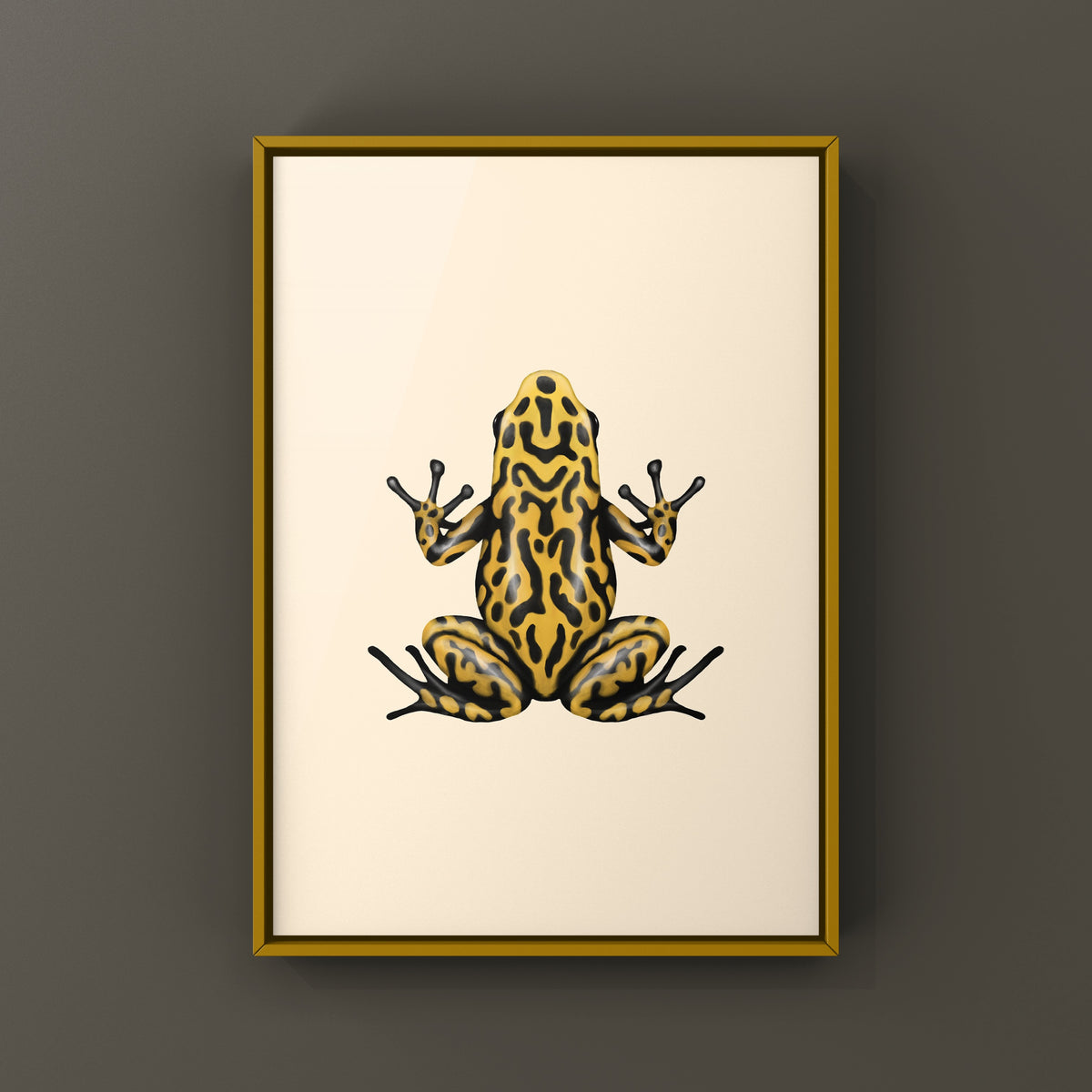 Yellow and Black Netted Splashback Poison Frog Art Print (Adelphobates galactonotus)