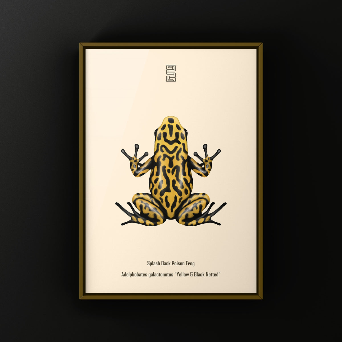 Yellow and Black Netted Splashback Poison Frog Art Print (Adelphobates galactonotus)