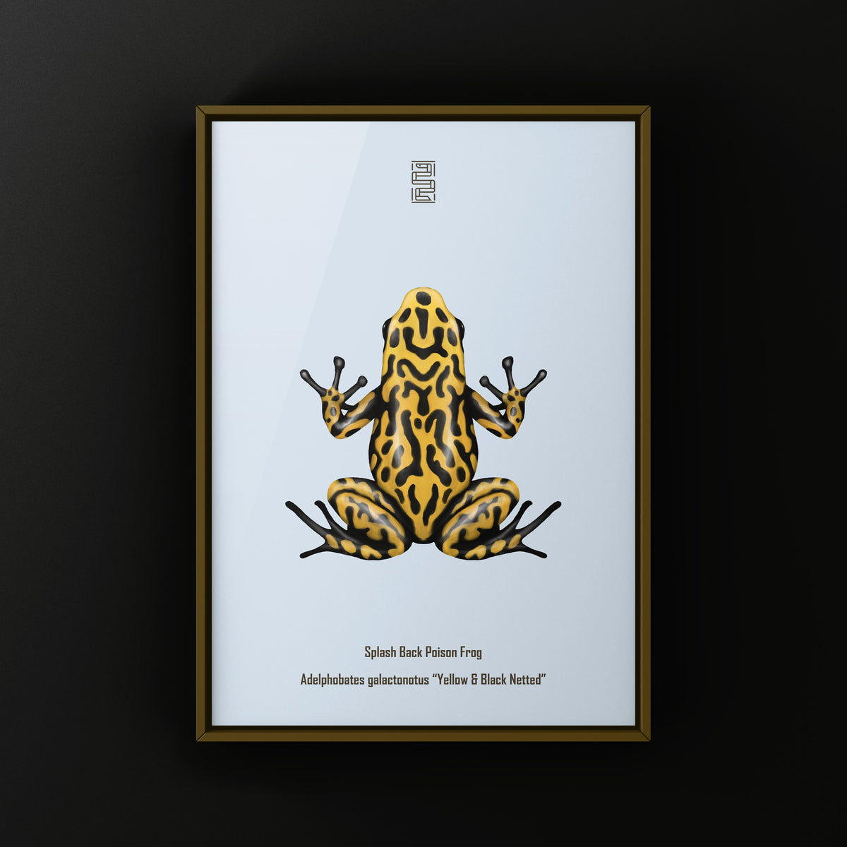 Yellow and Black Netted Splashback Poison Frog Art Print (Adelphobates galactonotus)