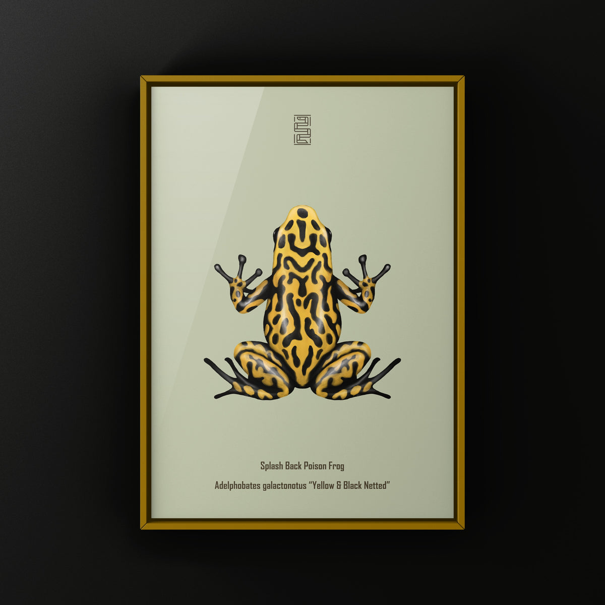 Yellow and Black Netted Splashback Poison Frog Art Print (Adelphobates galactonotus)