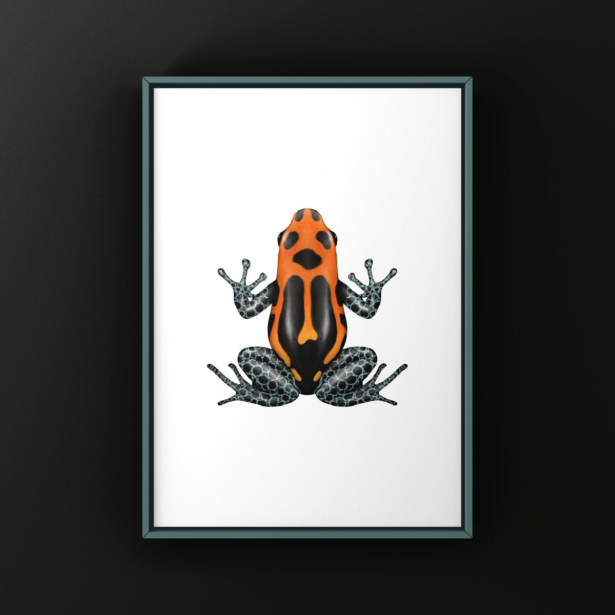 Varadero Imitating Poison Frog Art Print (Ranitomeya imitator)