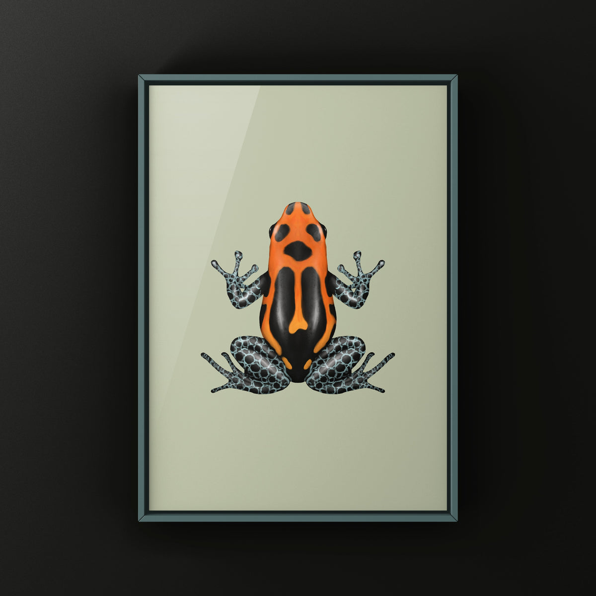 Varadero Imitating Poison Frog Art Print (Ranitomeya imitator)