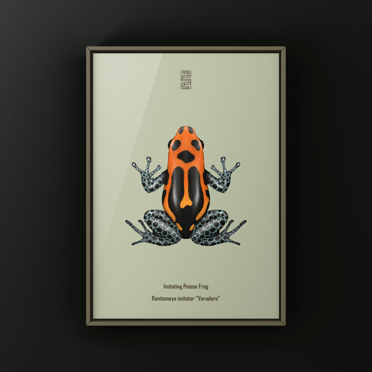 Varadero Imitating Poison Frog Art Print (Ranitomeya imitator)