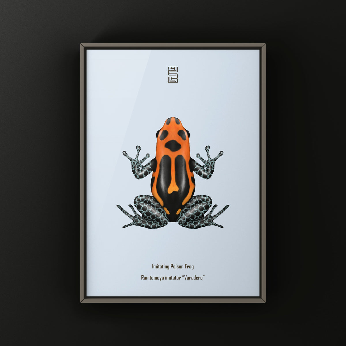 Varadero Imitating Poison Frog Art Print (Ranitomeya imitator)