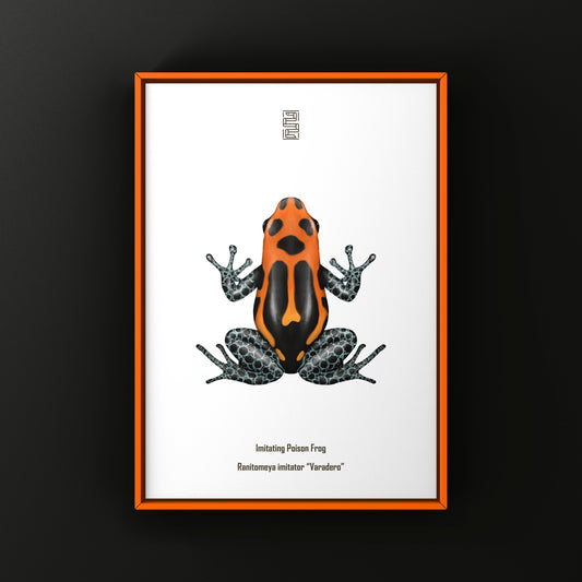 Varadero Imitating Poison Frog Art Print (Ranitomeya imitator)