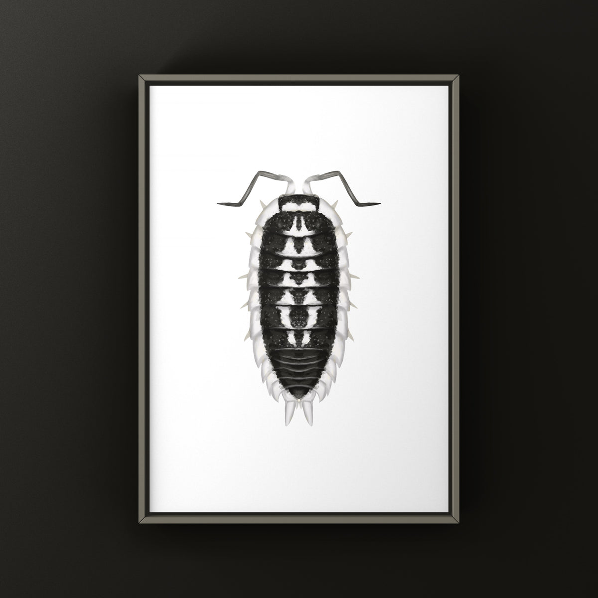 Yellow-banded Isopod Art Print (Porcellio flavomarginatus) from The Silk Ranch