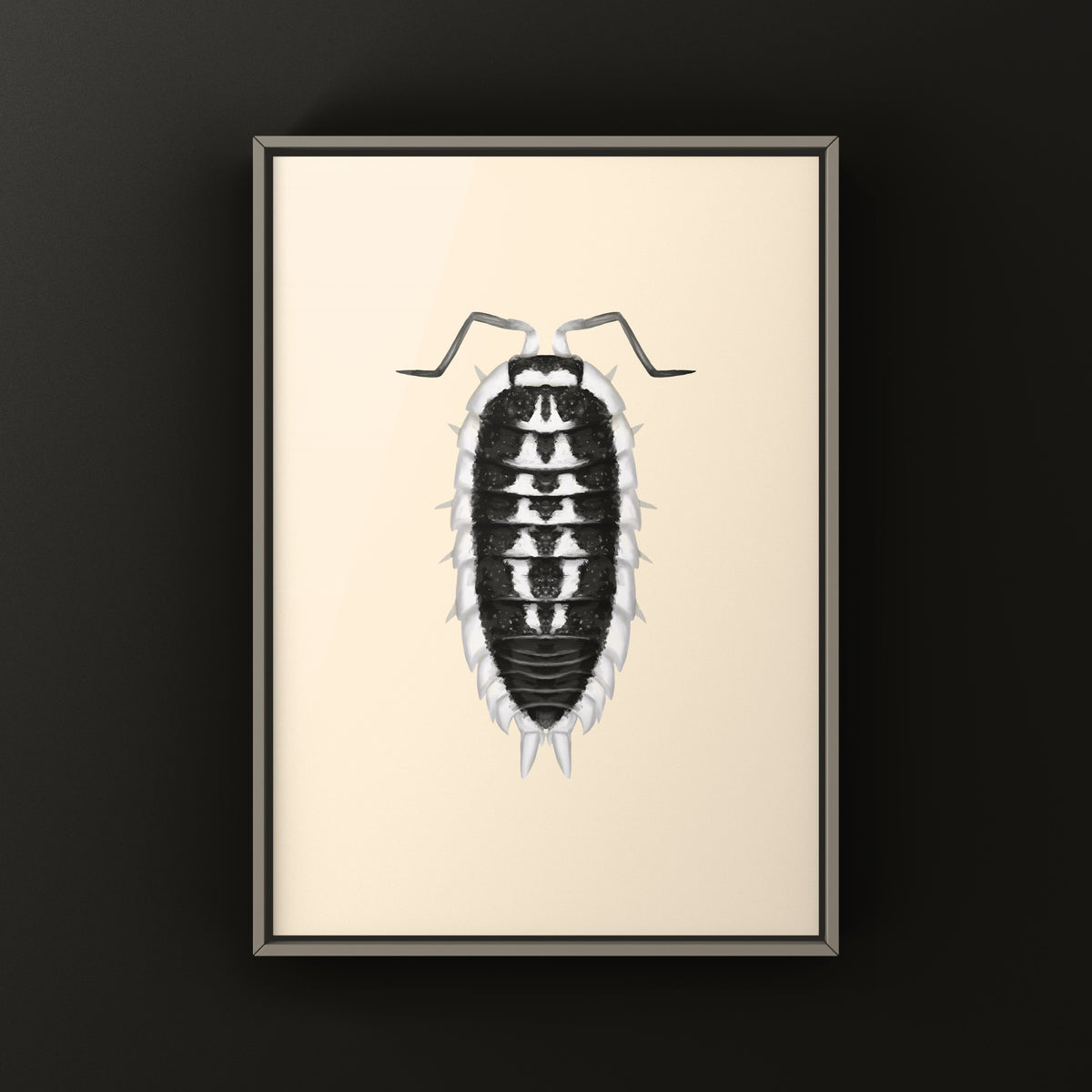 Yellow-banded Isopod Art Print (Porcellio flavomarginatus) from The Silk Ranch