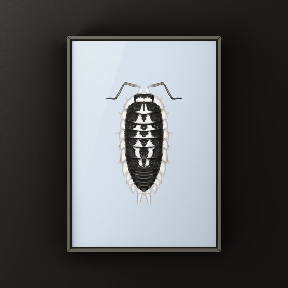 Yellow-banded Isopod Art Print (Porcellio flavomarginatus) from The Silk Ranch