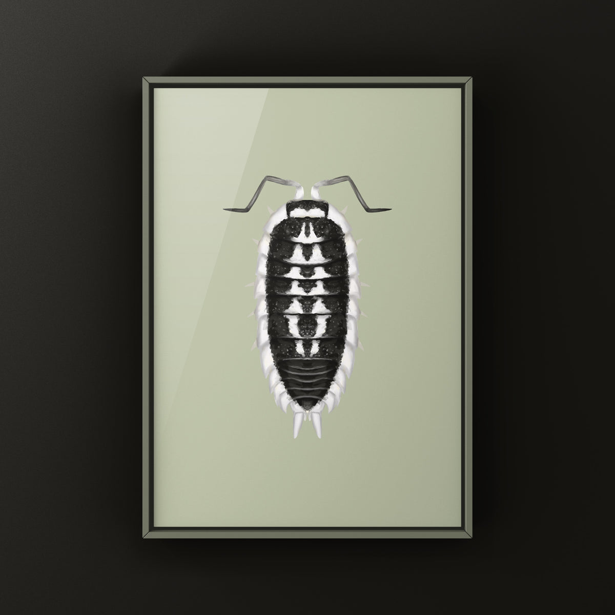 Yellow-banded Isopod Art Print (Porcellio flavomarginatus) from The Silk Ranch