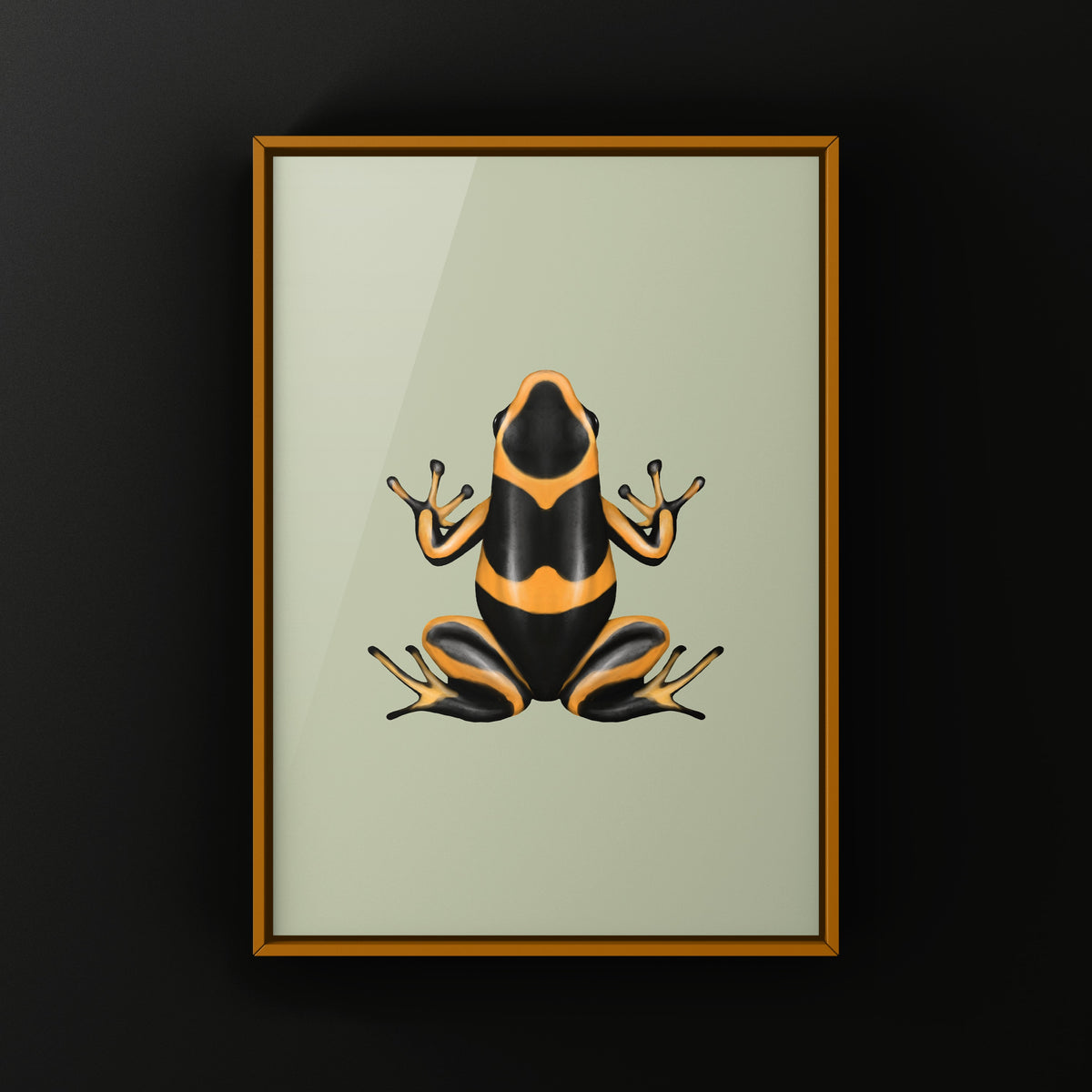 Banded Imitating Poison Frog Art Print (Ranitomeya imitator)