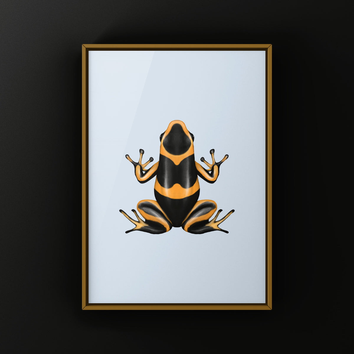 Banded Imitating Poison Frog Art Print (Ranitomeya imitator)