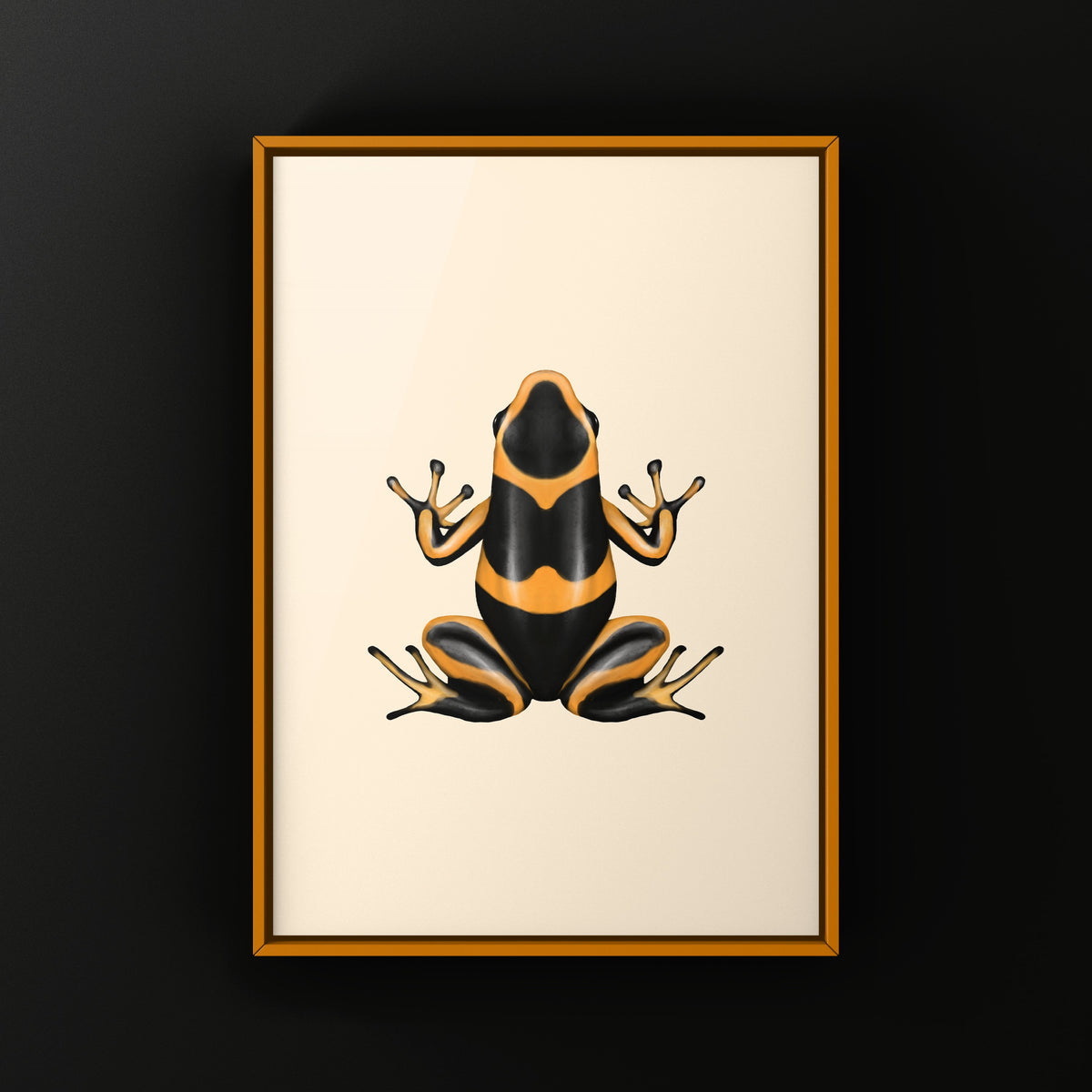 Banded Imitating Poison Frog Art Print (Ranitomeya imitator)