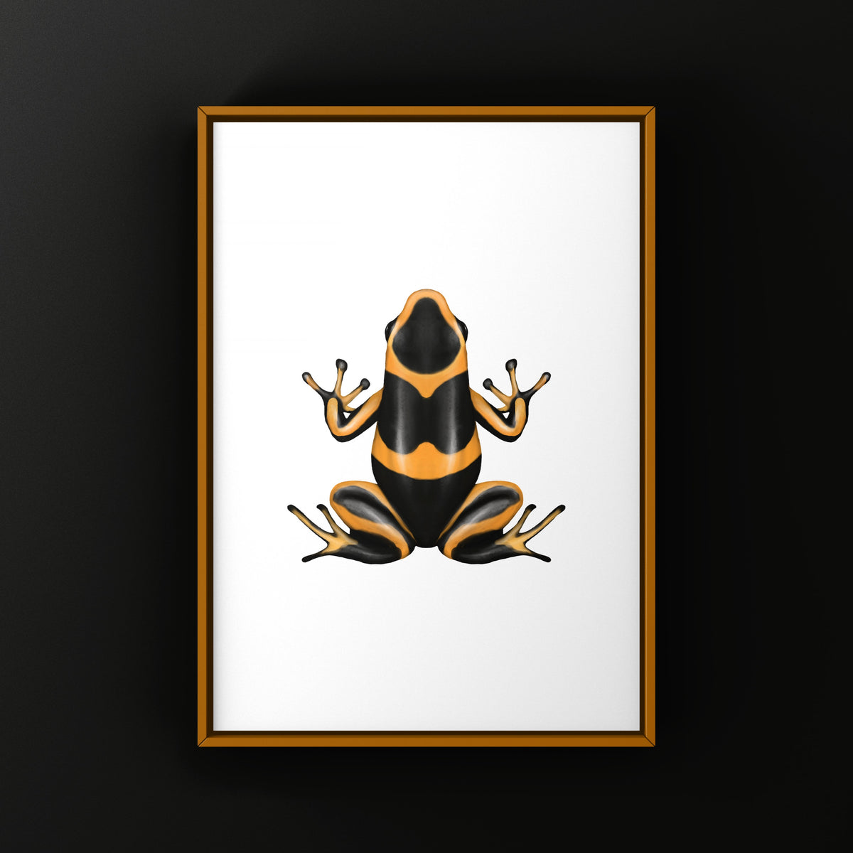 Banded Imitating Poison Frog Art Print (Ranitomeya imitator)