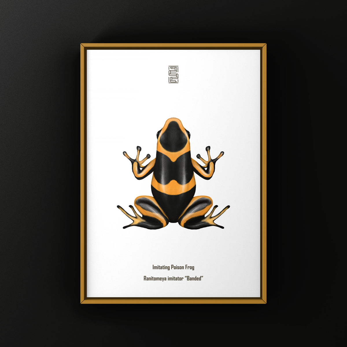 Banded Imitating Poison Frog Art Print (Ranitomeya imitator)