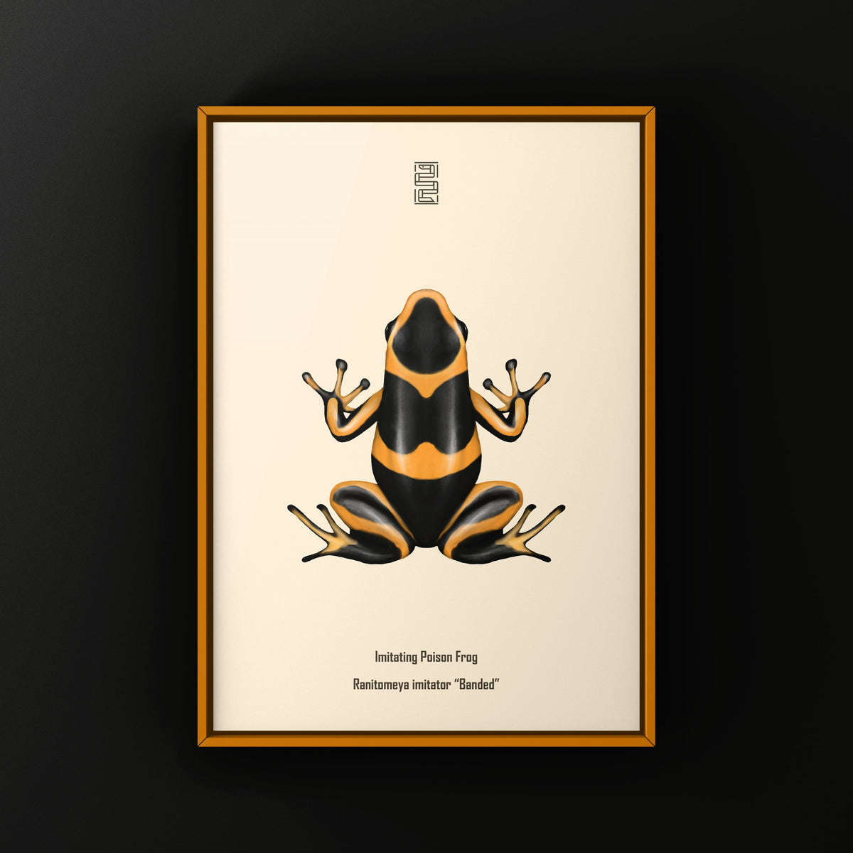Banded Imitating Poison Frog Art Print (Ranitomeya imitator)