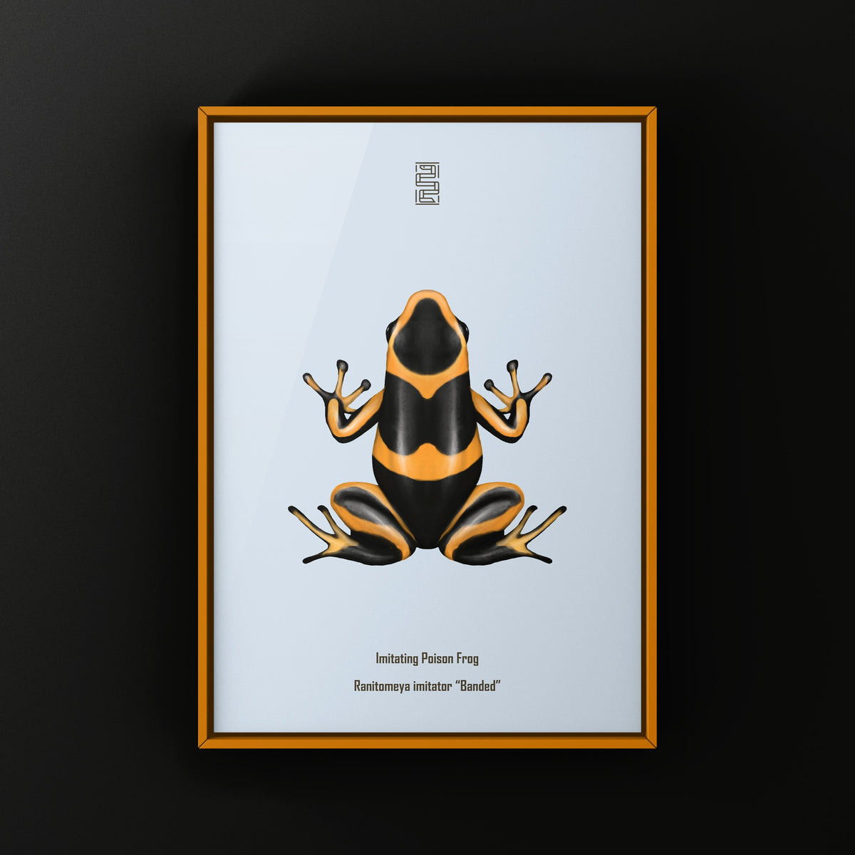 Banded Imitating Poison Frog Art Print (Ranitomeya imitator)