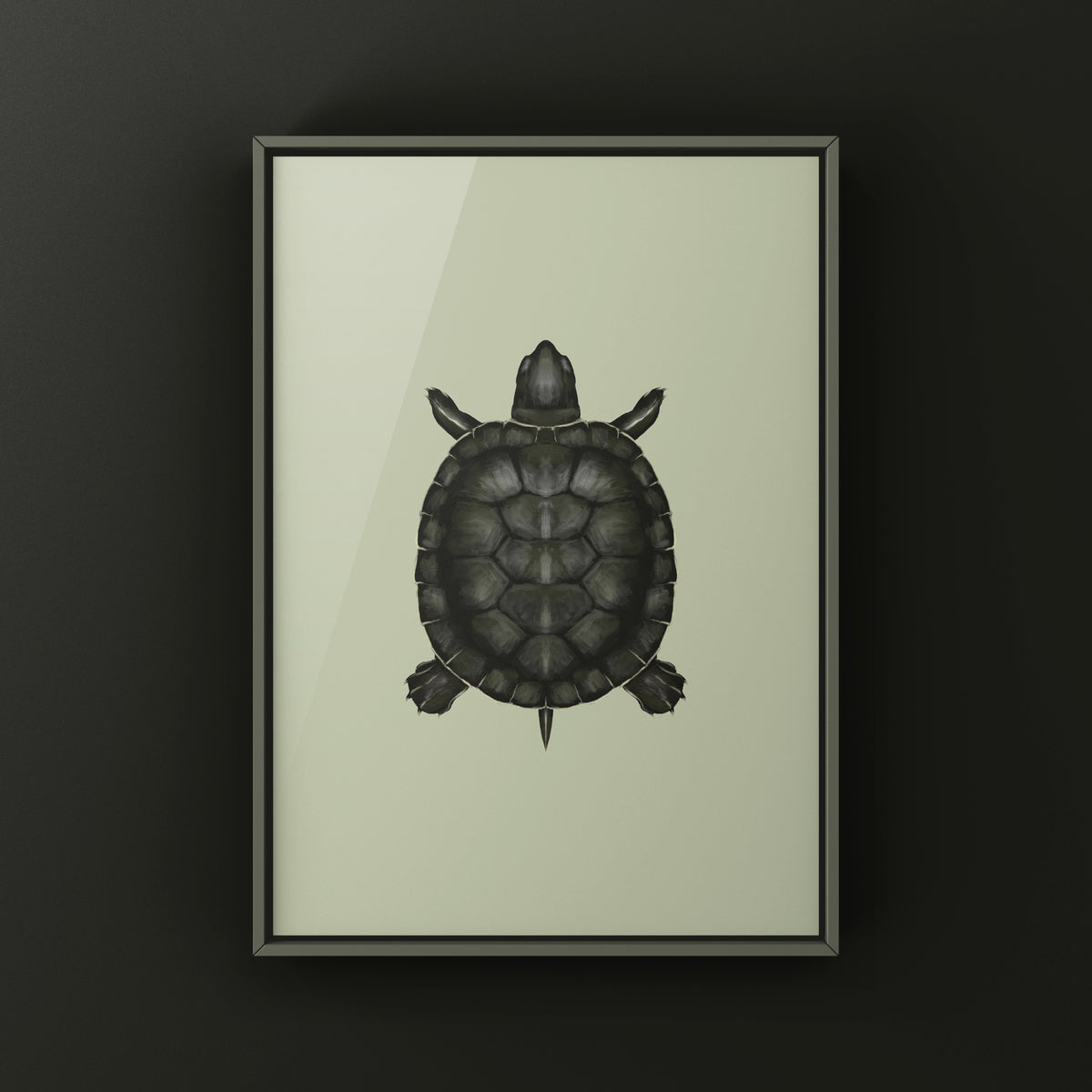 Charcoal Red-eared Slider Art Print (Trachemys scripta elegans)