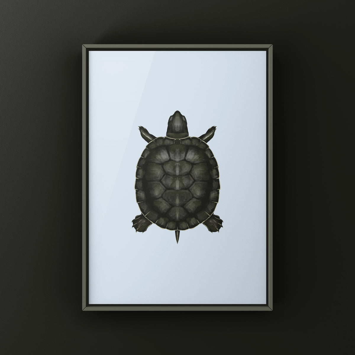 Charcoal Red-eared Slider Art Print (Trachemys scripta elegans)