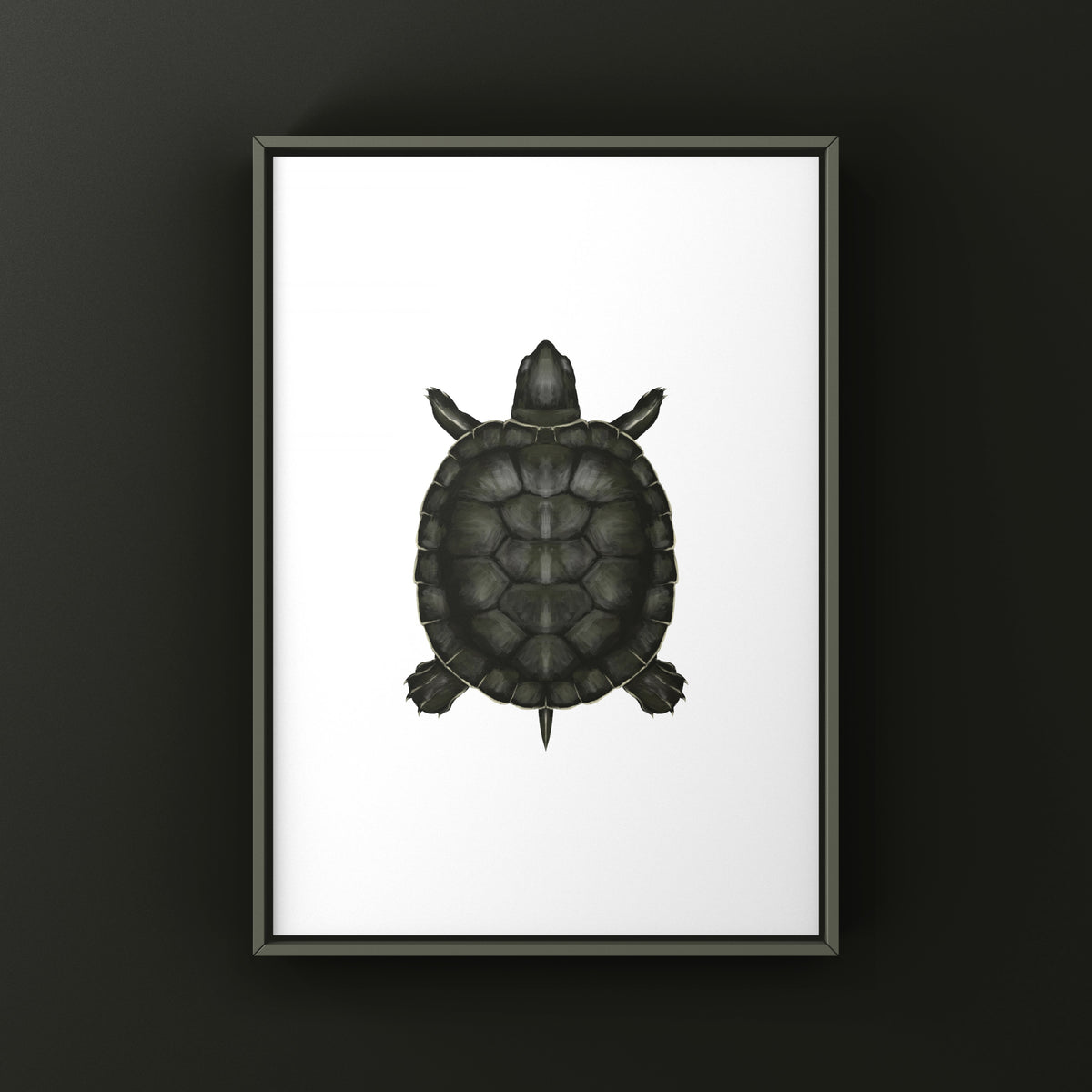 Charcoal Red-eared Slider Art Print (Trachemys scripta elegans)