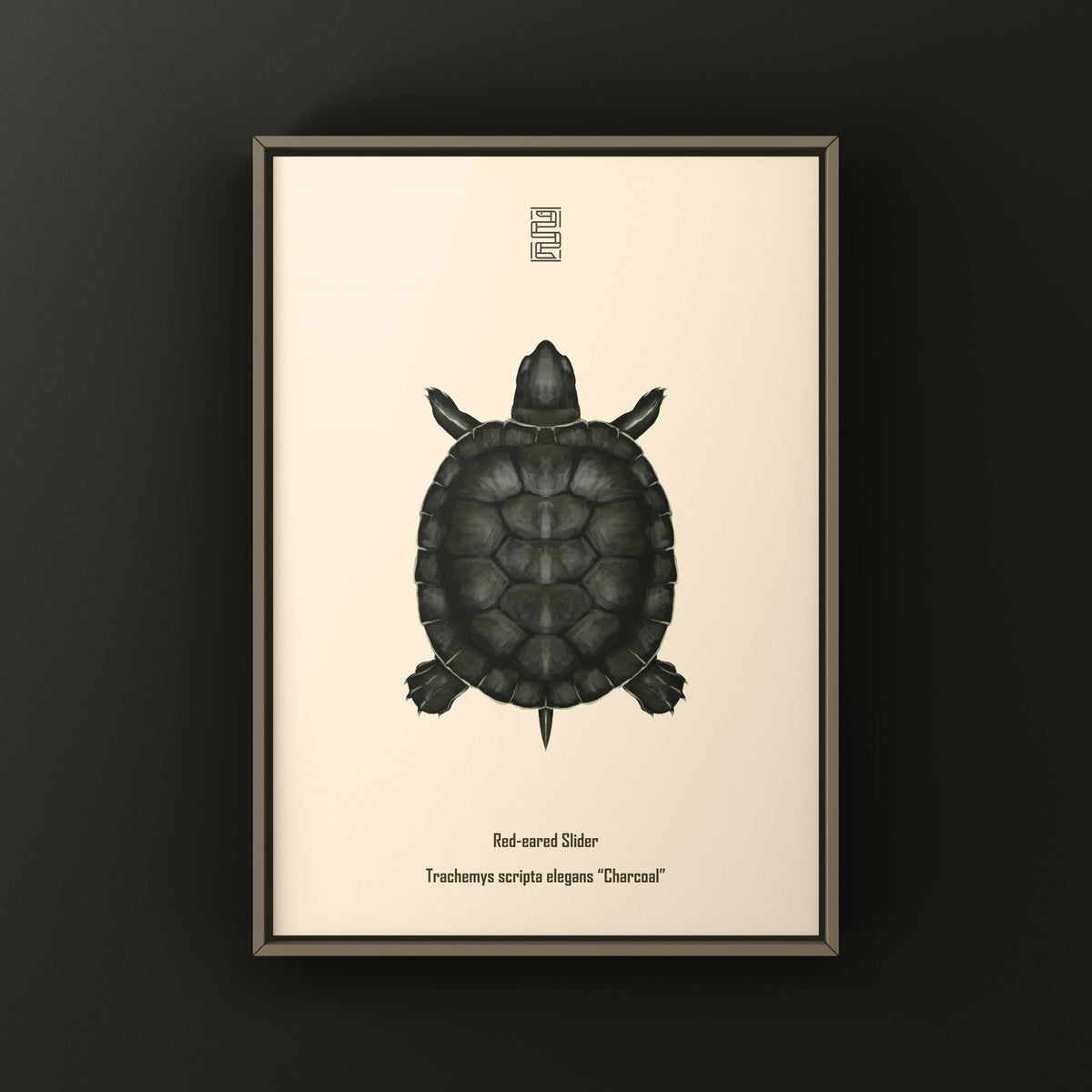 Charcoal Red-eared Slider Art Print (Trachemys scripta elegans)