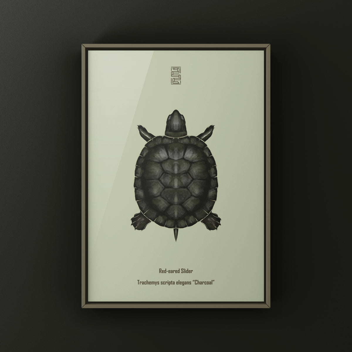 Charcoal Red-eared Slider Art Print (Trachemys scripta elegans)