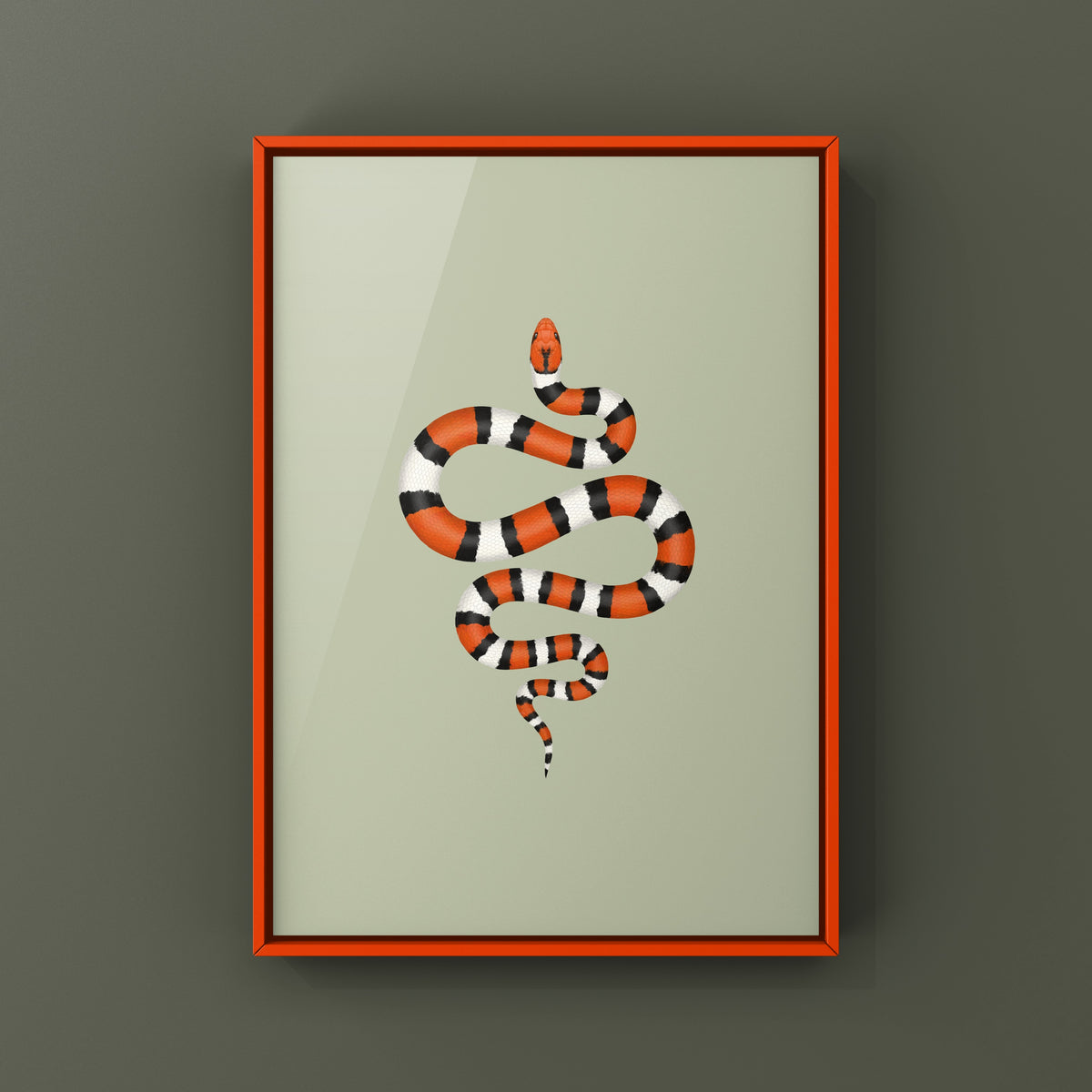 Scarlet Kingsnake Art Print (Lampropeltis elapsoides)